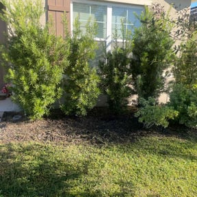 Flower Bed Weeding by Azwesthomeservices reviewed on October 19, 2025