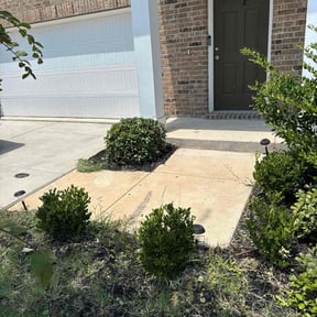 Bush Trimming by Livery Services LTD, llc reviewed on February 5, 2026