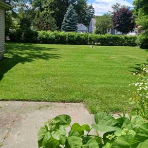 landscaping services by Suffer Correct Seasonal Care reviewed on August 16, 2025