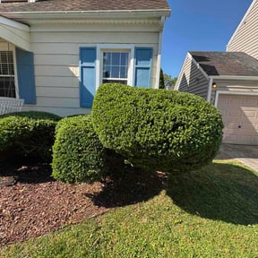 Bush Trimming by CCHS reviewed on May 19, 2026