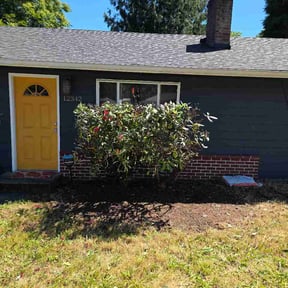 Bush Trimming by MJ Lawn care reviewed on June 15, 2026
