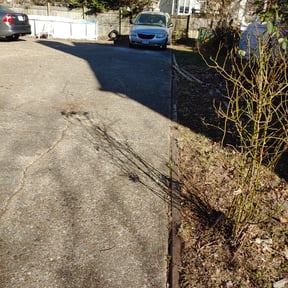 Leaf Removal by Ndebay Landscapping reviewed on September 20, 2025