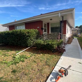 Bush Trimming by Dennis Stephenson reviewed on January 9, 2025