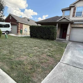 Bush Trimming by Acheys landscaping LLC reviewed on November 21, 2025