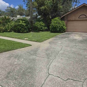 gardening service by Andreasens Lawn care reviewed on November 24, 2025