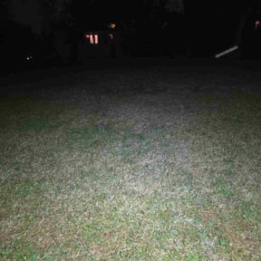 Leaf Removal by Trust Us Lawn Service reviewed on April 9, 2026