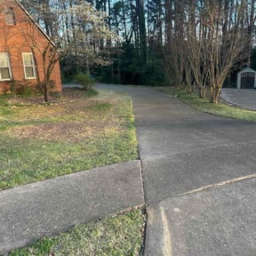 Leaf Removal by 1Unit home service and repairs reviewed on March 29, 2026