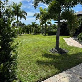 yard work by Tri J lawn care services reviewed on August 15, 2025