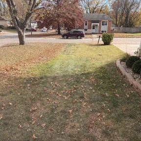 Leaf Removal by AJG Renovation &amp; Landscaping reviewed on November 21, 2025
