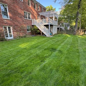 landscaping services by Lawn services JAV reviewed on April 12, 2024