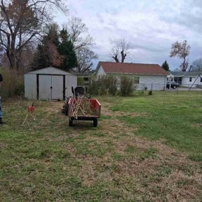 Bush Trimming by J&amp;l landscaping reviewed on March 19, 2026