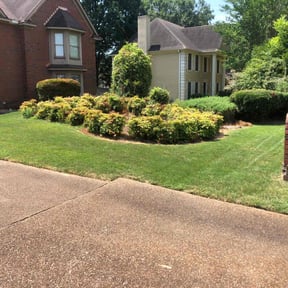 lawn care by Contreras Outdoors reviewed on September 14, 2023