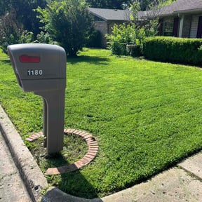 yard care by Haymes Grass Grooming reviewed on July 29, 2025
