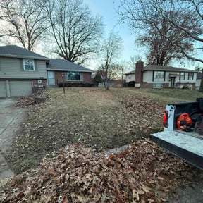 Leaf Removal by S&amp;D lawn and trash services reviewed on November 26, 2025