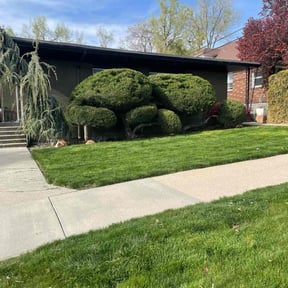 yard care by MB Williams Lawn Care Services reviewed on March 28, 2024