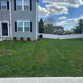 gardening service by Andrew James Property Maintenance reviewed on August 14, 2025