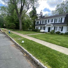 lawn care services by chameleon lawn care reviewed on August 15, 2025