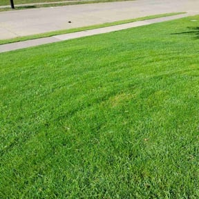 residential landscaping by A+ Lamonds lawn&amp;landscape reviewed on April 29, 2024