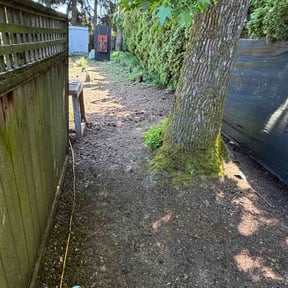 Leaf Removal by Marquez reviewed on June 6, 2026