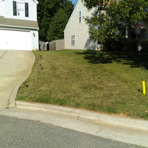Bush Trimming by U.S. Property Management reviewed on August 20, 2025