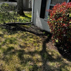 Flower Bed Weeding by Green Wing Lawn Care reviewed on April 9, 2026