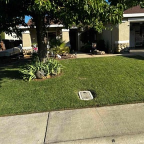 lawn maintenance by Greener Pastures Lawn Care, LLC reviewed on August 16, 2025