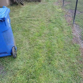 Leaf Removal by The Lawn Dude, LLC reviewed on September 23, 2025