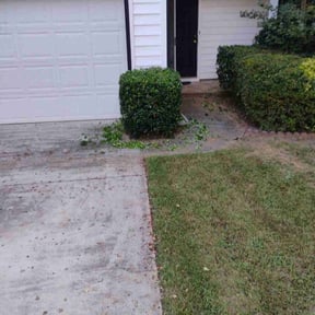 Bush Trimming by LTF Construction and Consulting LLC reviewed on October 23, 2025