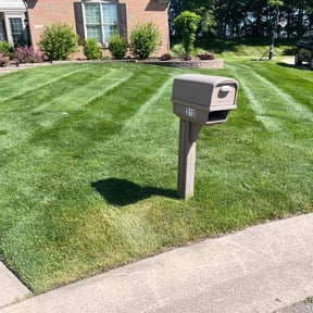 gardening service by Forever Young Landscaping LLC reviewed on August 16, 2025