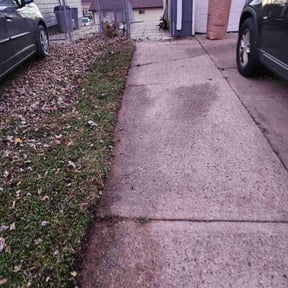 Leaf Removal by KNS Lawn Services reviewed on August 30, 2024