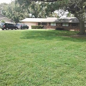 grass cutting by Sauceda lawn service reviewed on August 21, 2024