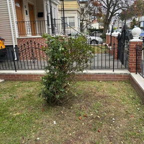Bush Trimming by Sal's lawn service  reviewed on November 26, 2025