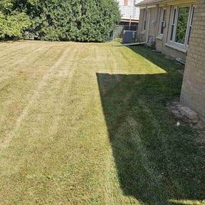 turf care by Yap B Cuttin reviewed on July 17, 2025