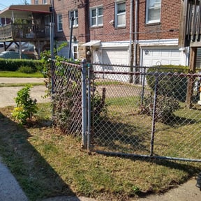 Bush Trimming by Debbie Does It reviewed on May 16, 2024