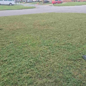 Leaf Removal by What we don’t do reviewed on September 2, 2026