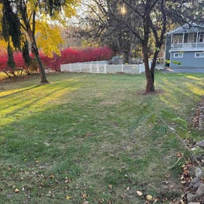 Leaf Removal by Yard Gnomes Lawn Care reviewed on November 4, 2025