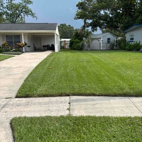 grass cutting by Ellis lawn care reviewed on August 21, 2025