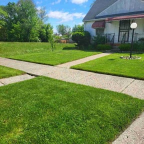 Long Grass Cleanup by Save My Grass Lawn Care LLC reviewed on August 21, 2025