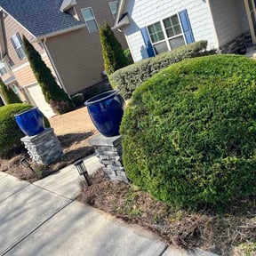 Bush Trimming by Her Metal Buildings &amp; Landcare reviewed on February 21, 2026