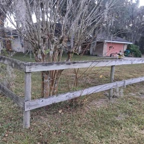 Bush Trimming by Smiley's Landscaping LLC reviewed on October 23, 2025