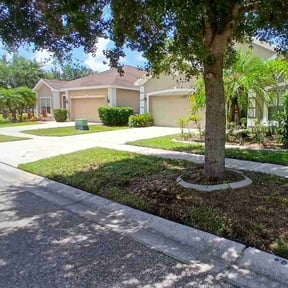 yard care by Pirate's Cove Lawn Maintenance, LLC reviewed on December 31, 2025