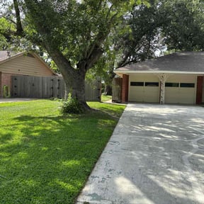 landscaping by Mr. Mower reviewed on August 16, 2025