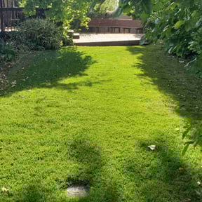 Cleanups by Grass Armas reviewed on June 26, 2025