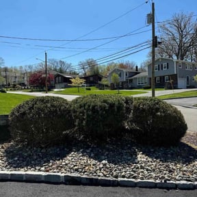 turf care by JMG Lawn Care reviewed on October 23, 2023