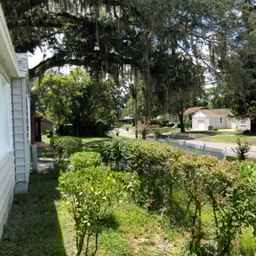 Bush Trimming by Herb & G'iants' Lawn Care L.L.C. reviewed on August 19, 2025