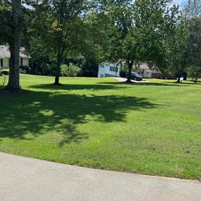 landscape maintenance by FMD Lawn reviewed on August 15, 2025