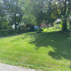 lawn care by Superior lawn maintenance reviewed on August 15, 2025