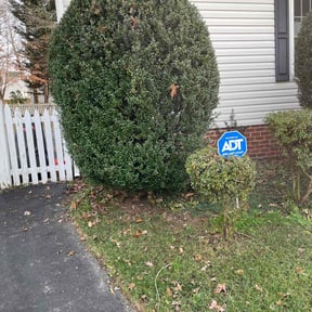 Bush Trimming by Biggs customs reviewed on August 18, 2025
