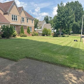 lawn care services by vangs handy service reviewed on August 21, 2025