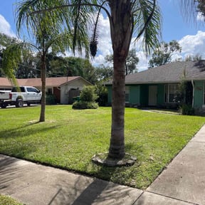 turf care by Facility Operation and Maintenance reviewed on November 27, 2023